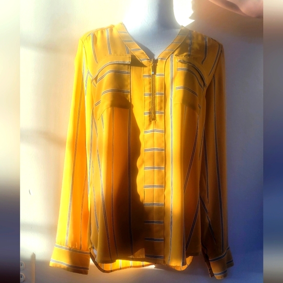 Express Striped Yellow and Blue Shirt - Picture 8 of 8